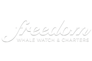 Freedom Whale Watch & Charters logo